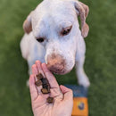 Jiminy's Pumpkin Carrot & Cricket Chewy Training Treats For Dogs (6 oz)