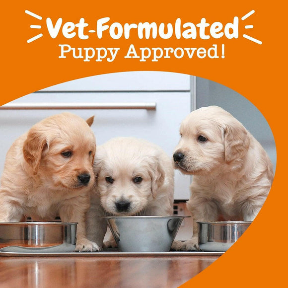 Zesty Milk Replacer Powder Supplement For Puppy (12 oz)