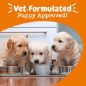 Zesty Milk Replacer Powder Supplement For Puppy (12 oz)