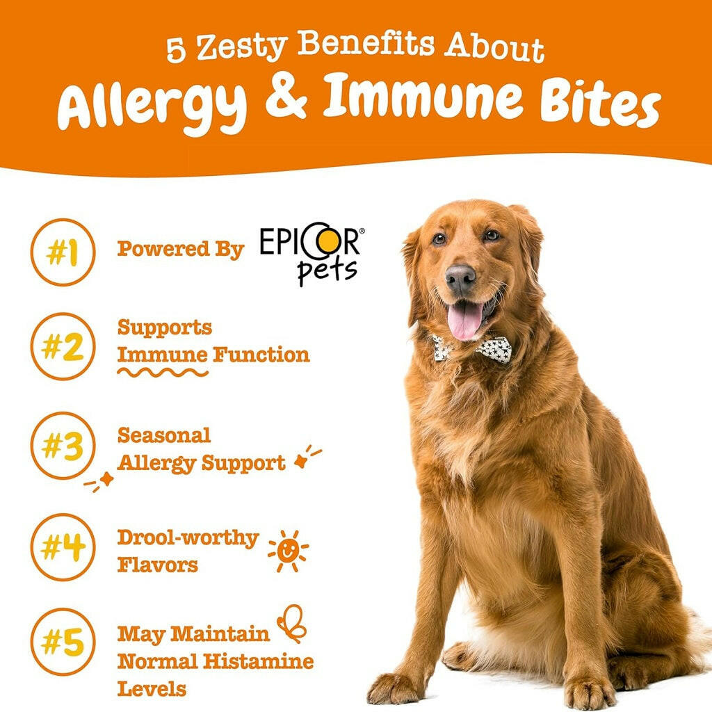 Zesty Paws Allergy&  Immune Bites Lamb Flavored Chews for Dogs (90 ct)