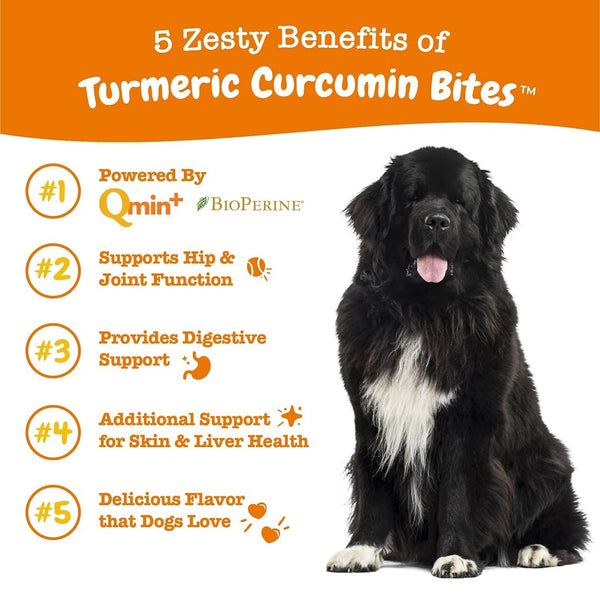 Zesty Paws Turmeric Bites Duck Flavor Soft Chews Multivitamins Support For Dog (90 ct)