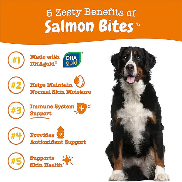Zesty Paws Salmon Bites Skin Health Support Supplement For Dog (90 ct)