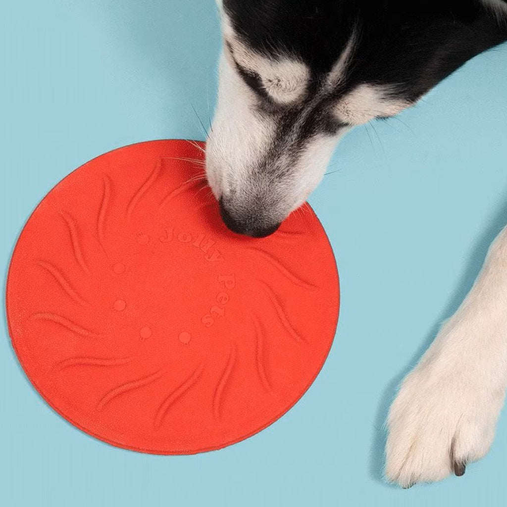 Jolly Pets Tuff Flyer Dog Disc - Tough, Floating Dog Toy