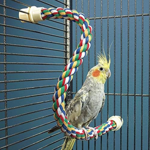 Bird Sitting on JW Pet Multi-Color Flexible Comfy Rope Bird Cage Perch