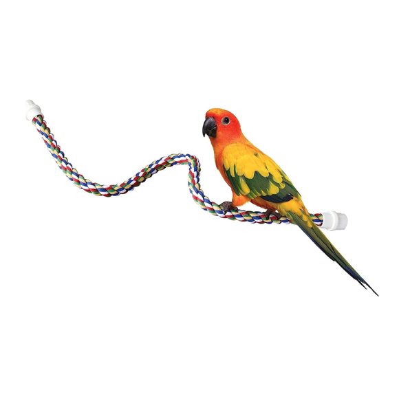 Bird Sitting on JW Pet Multi-Color Flexible Comfy Rope Bird Cage Perch