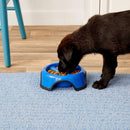 JW Pet Skid Stop Slow Feed Bowl For Dog (Assorted Colors)
