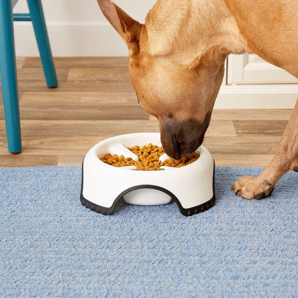 JW Pet Skid Stop Slow Feed Bowl For Dog (Assorted Colors)