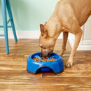 JW Pet Skid Stop Slow Feed Bowl For Dog (Assorted Colors)
