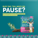 Karoo Wild Treats for Dogs - Dog Treats 9