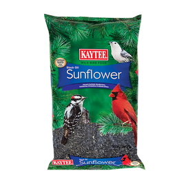 Kaytee Black Oil Sunflower Seeds for Wild Birds