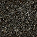 Black Oil Sunflower Seeds