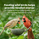 both birds eating seeds