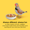 Kaytee Fiesta Canary & Finch Bird Food (2 lb) - Bird Food 3