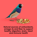 Kaytee Fiesta Canary & Finch Bird Food (2 lb) - Bird Food 6