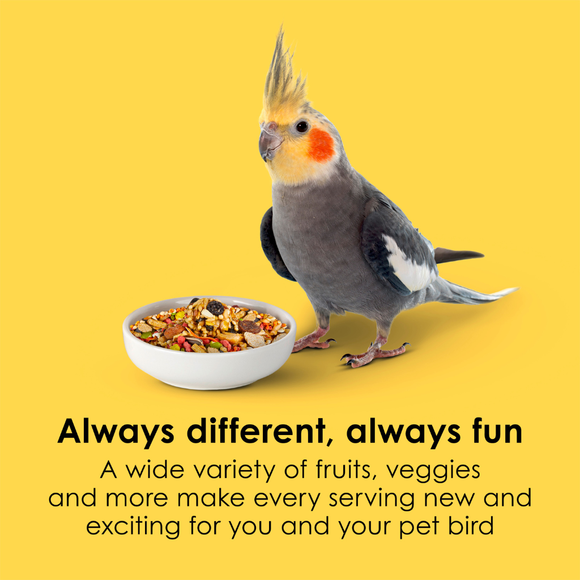 Kaytee Fiesta Cockatiel Bird Food - Bird Food 3