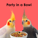 Kaytee Fiesta Cockatiel Bird Food - Bird Food 10