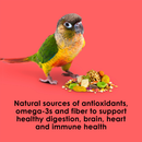 Kaytee Fiesta Conure Bird Food (4.5 lb) - Bird Food 6
