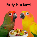 Kaytee Fiesta Conure Bird Food (4.5 lb) - Bird Food 10