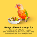 Kaytee Fiesta Conure Bird Food (4.5 lb) - Bird Food 3