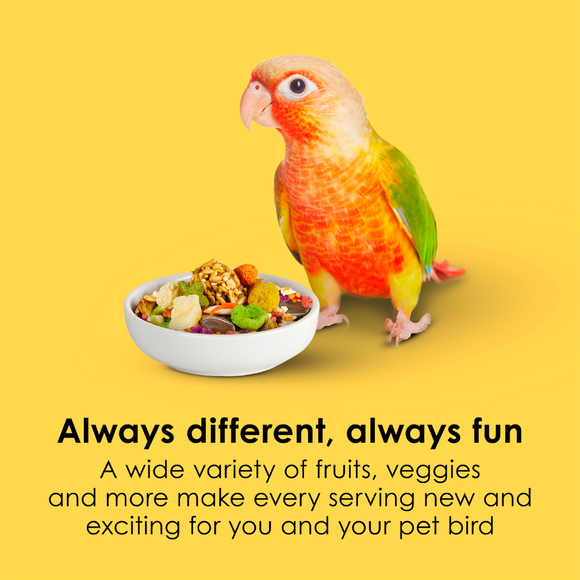 Kaytee Fiesta Conure Bird Food (4.5 lb) - Bird Food 3