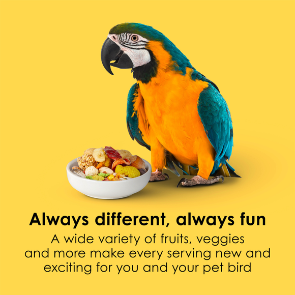 Kaytee Fiesta Macaw Bird Food (4.5 lb) - Bird Food 3