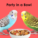Kaytee Fiesta Parakeet Bird Food (2 lb) - Bird Food 10