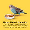 Kaytee Fiesta Parakeet Bird Food (2 lb) - Bird Food 3