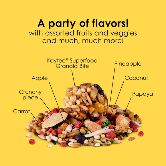 Kaytee Fiesta Parakeet Bird Food (2 lb) - Bird Food 7