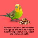 Kaytee Fiesta Parakeet Bird Food (2 lb) - Bird Food 6