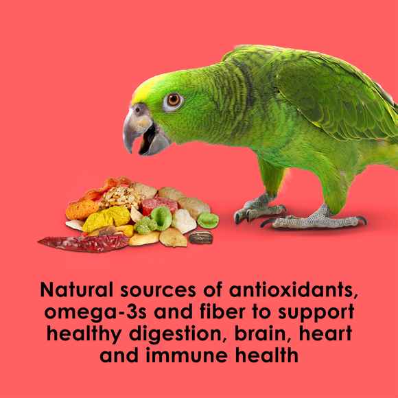 Kaytee Fiesta Parrot Bird Food - Bird Food 7