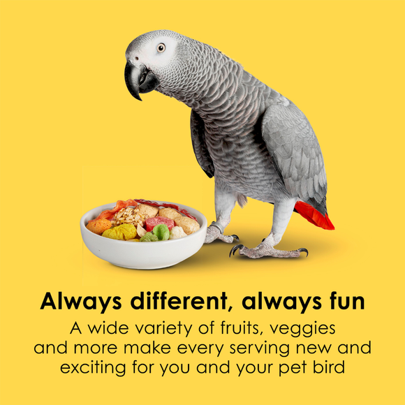 Kaytee Fiesta Parrot Bird Food - Bird Food 3