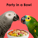 Kaytee Fiesta Parrot Bird Food - Bird Food 10