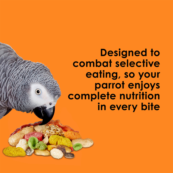 Kaytee Fiesta Parrot Bird Food - Bird Food 4