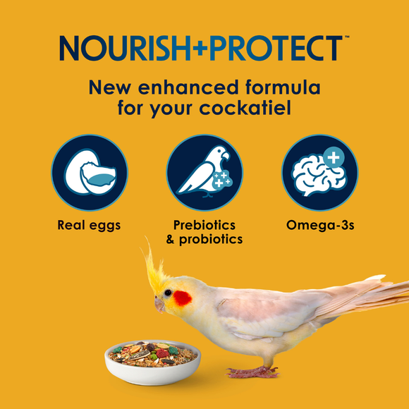 Kaytee Forti-Diet Pro Health Egg-Cite! Cockatiel Bird Food (5 lb) - Bird Food 3