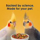 Kaytee Forti-Diet Pro Health Egg-Cite! Cockatiel Bird Food (5 lb) - Bird Food 11