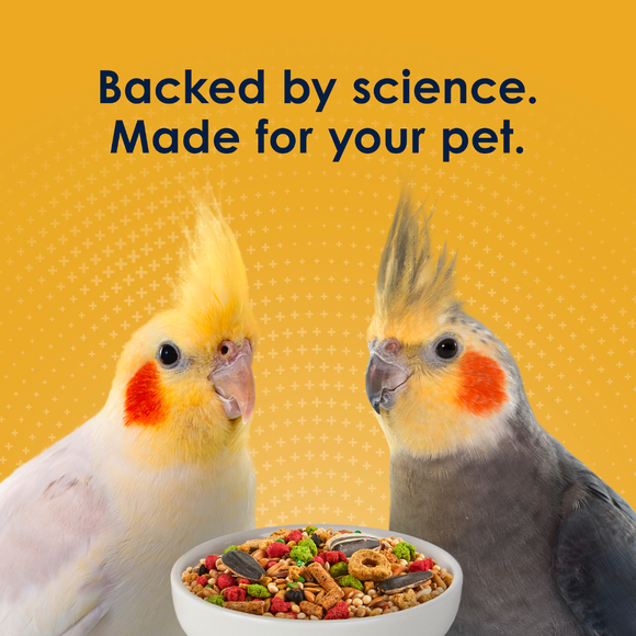 Kaytee Forti-Diet Pro Health Egg-Cite! Cockatiel Bird Food (5 lb) - Bird Food 11