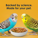 Kaytee Forti-Diet Pro Health Egg-Cite! Parakeet Bird Food (5 lb) - Bird Food 8