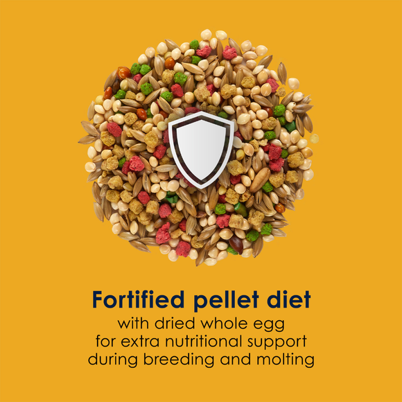 Kaytee Forti-Diet Pro Health Egg-Cite! Parakeet Bird Food (5 lb) - Bird Food 9