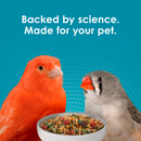 Kaytee Forti-Diet Pro Health Nourish + Protect Canary & Finch Bird Food (2 lb) - Bird Food 10