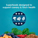 Kaytee Forti-Diet Pro Health Nourish + Protect Canary & Finch Bird Food (2 lb) - Bird Food 3