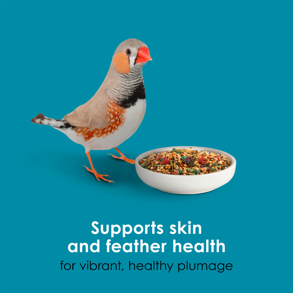 Kaytee Forti-Diet Pro Health Nourish + Protect Canary & Finch Bird Food (2 lb) - Bird Food 4