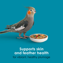 Kaytee Forti-Diet Pro Health Nourish + Protect Cockatiel Bird Food (5 lb) - Bird Food 8