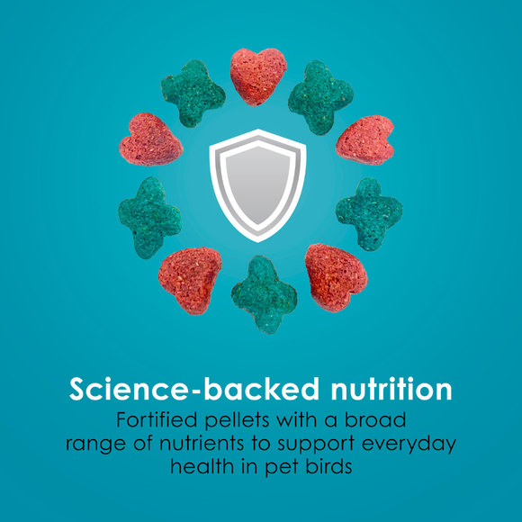 Kaytee Forti-Diet Pro Health Nourish + Protect Cockatiel Bird Food (5 lb) - Bird Food 7