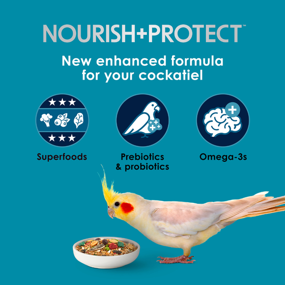 Kaytee Forti-Diet Pro Health Nourish + Protect Cockatiel Bird Food (5 lb) - Bird Food 3