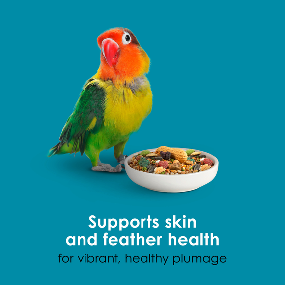 Kaytee Forti-Diet Pro Health Nourish + Protect Conure & Lovebird Bird Food (4 lb) - Bird Food 5