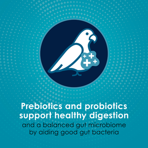 Kaytee Forti-Diet Pro Health Nourish + Protect Conure & Lovebird Bird Food (4 lb) - Bird Food 2