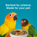 Kaytee Forti-Diet Pro Health Nourish + Protect Parakeet Bird Food - Bird Food 11