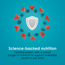 Kaytee Forti-Diet Pro Health Nourish + Protect Parakeet Bird Food - Bird Food 7