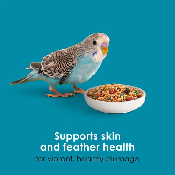 Kaytee Forti-Diet Pro Health Nourish + Protect Parakeet Bird Food - Bird Food 8