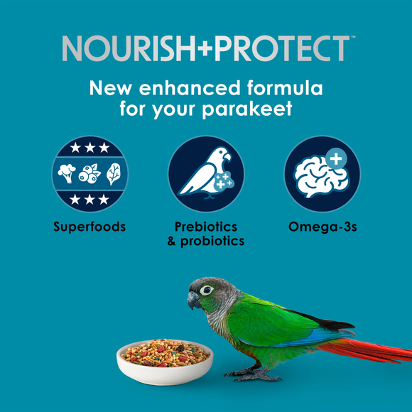 Kaytee Forti-Diet Pro Health Nourish + Protect Parakeet Bird Food - Bird Food 3